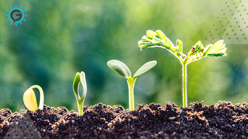 The Year-Round Growth Strategy: How We Can Effortlessly Train and Retain Our Teams